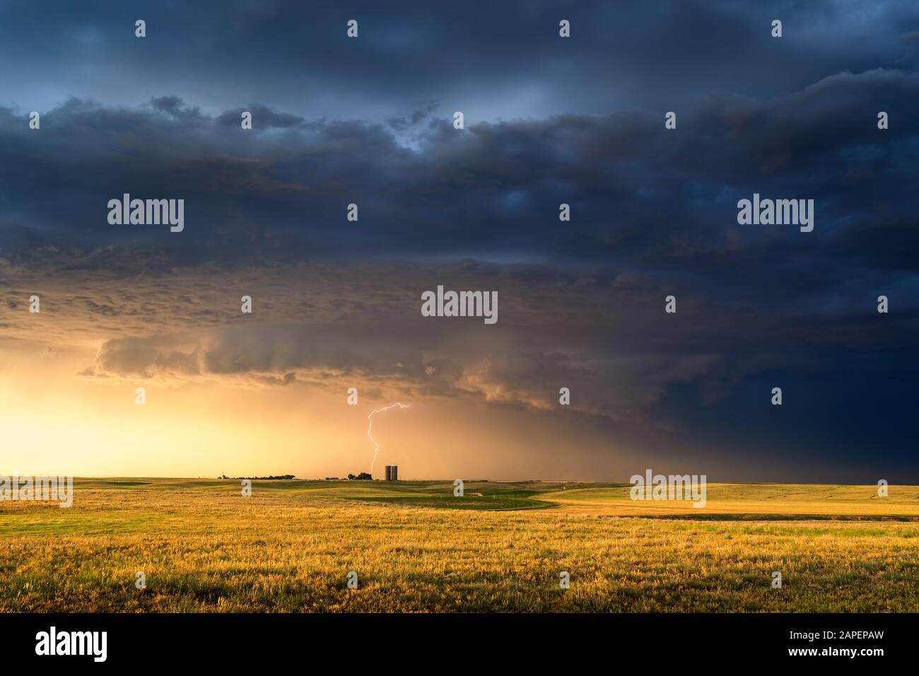 Malerische Landschaft mit warmem Sonnenlicht auf einem Farmfeld unter dunklen Sturmwolken und Gewitterblitzen in Texline, Texas Stockfoto