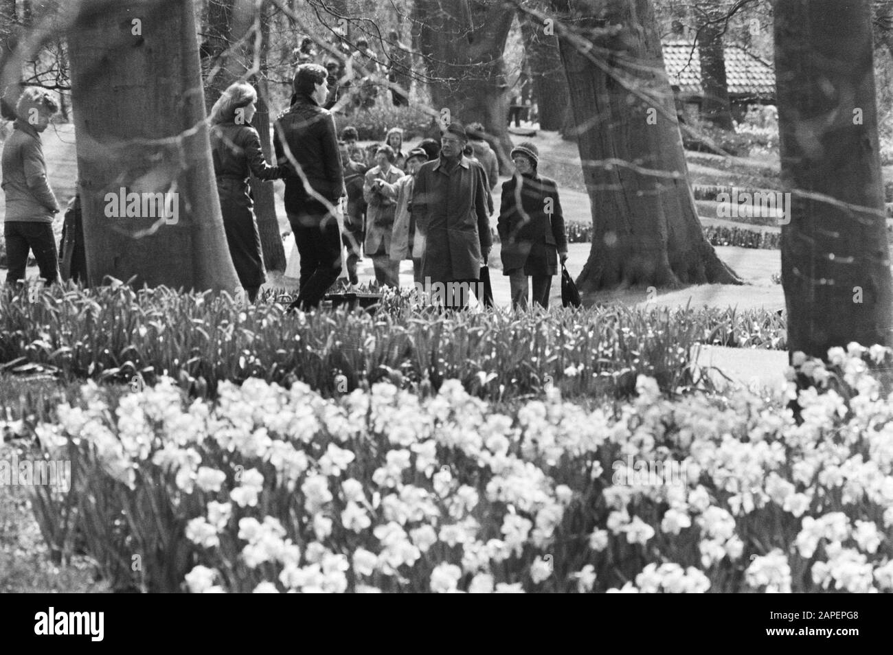 Osterdruck am Keukenhof Beschreibung: Besucher genießen die Schönheit der Blumen außerhalb des Datums: 11. april 1977 Ort: Lisse, Süd-Holland Schlüsselwörter: Freizeitparks, Blumenschmuck, Name Der Tourismuseinrichtung: Keukenhof Stockfoto