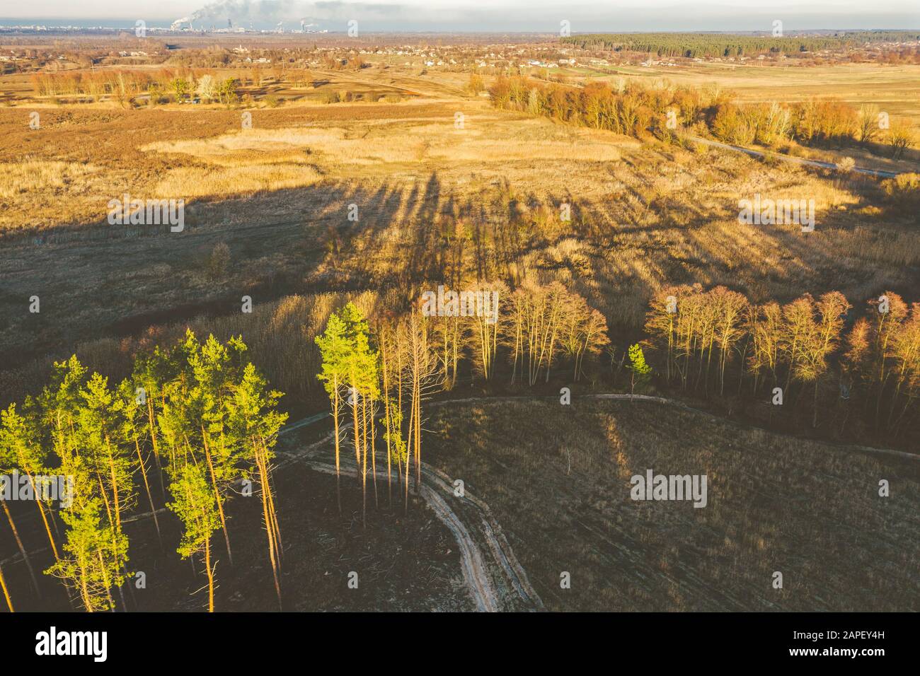 Luftflug über Herbst-Kiefernwald und -Felder, Sonnenuntergang, Draufsicht. Im Industriegebiet hinter Feldern und Bäumen stapeln sich riesige Rauchschwaden. Verschmutzung von en Stockfoto