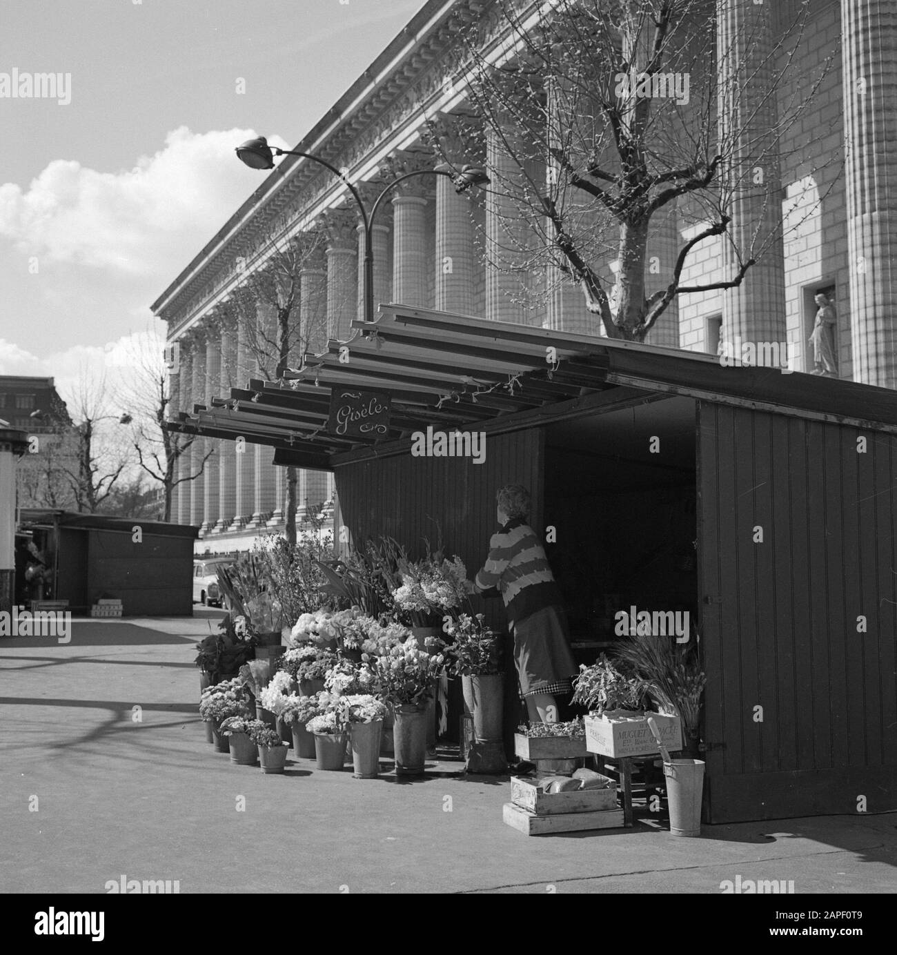 Pariser Bilder Beschreibung: Blumenstände am Fuße der Madeleine Datum: 1965 Ort: Frankreich, Paris Schlüsselwörter: Blumen, Märkte, Skulpturen auf der Straße, Straßenhändler Stockfoto