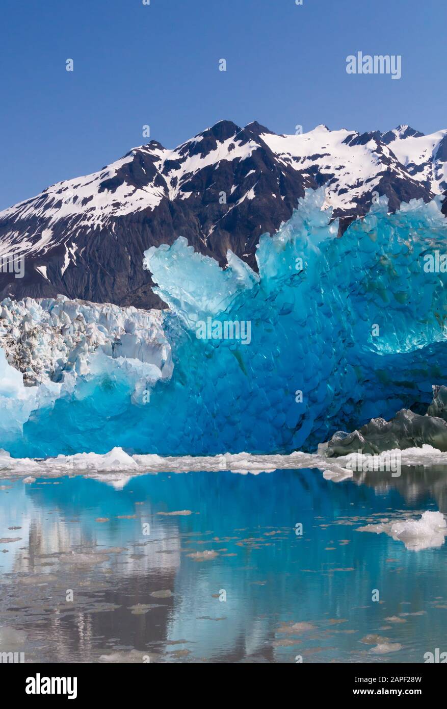 Ein blauer eisberg ruht an einem blauen Himmelstag vor dem McBride Glacier in der Glacier Bay. Stockfoto