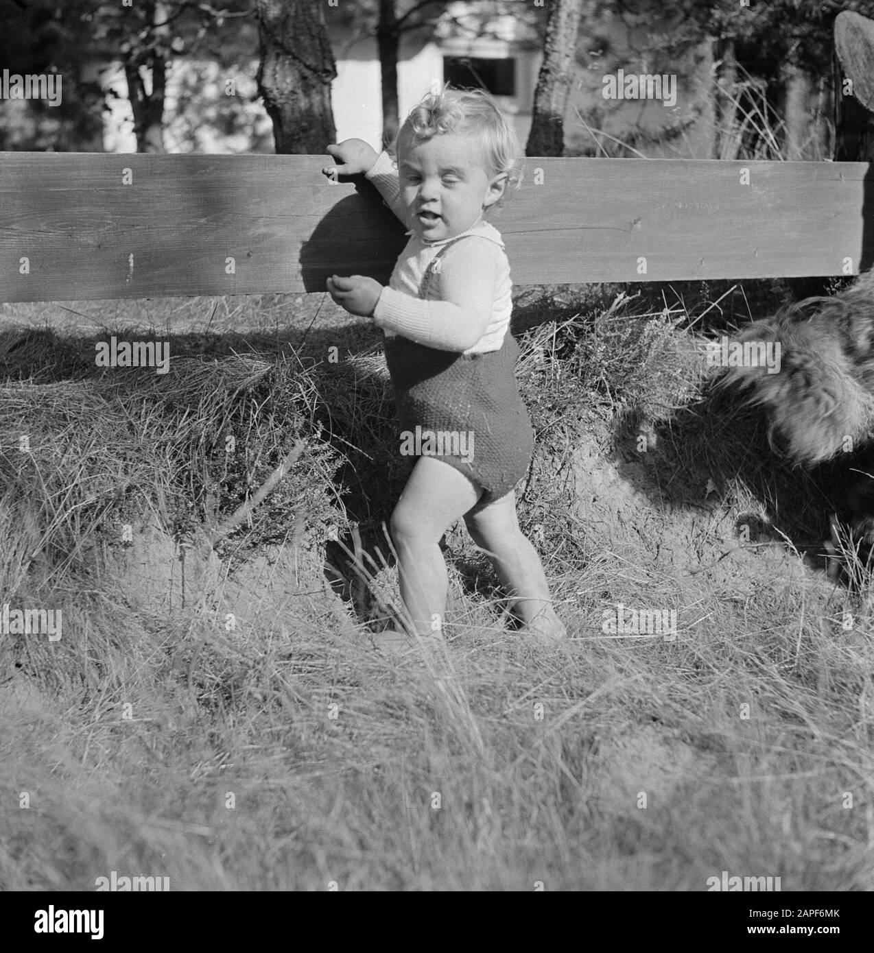 Kinderporträts Beschreibung: Boudewijn hält sich an einen Zaun Datum: 1932 Schlagwörter: Kinder Stockfoto