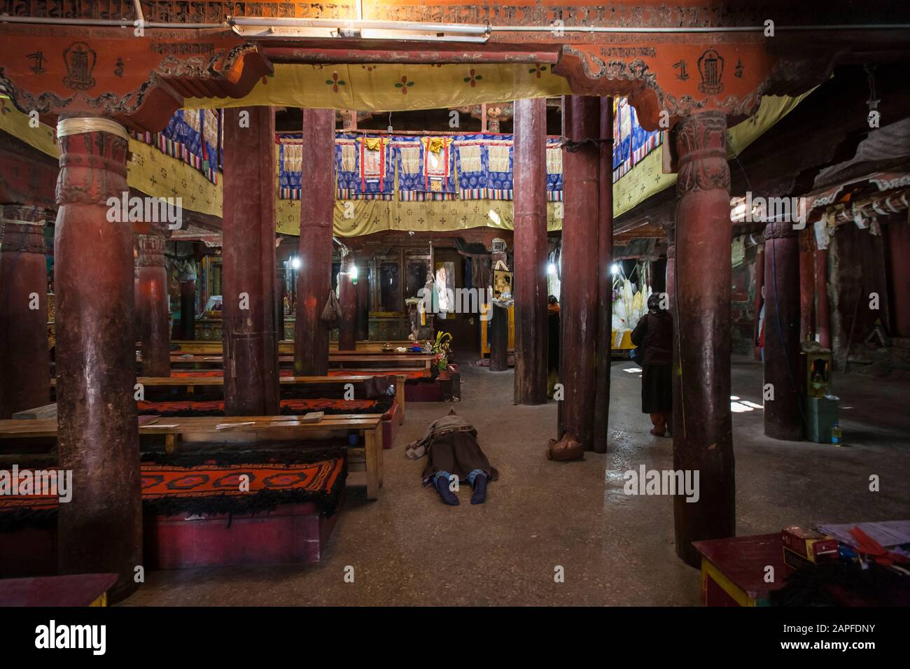 Haupthalle zum Beten, Im Inneren des Hemis gompa- oder Hemisklosteres, tempel des tibetischen buddhismus, Vorort von LEH, Ladakh, indien, Südasien, Asien Stockfoto