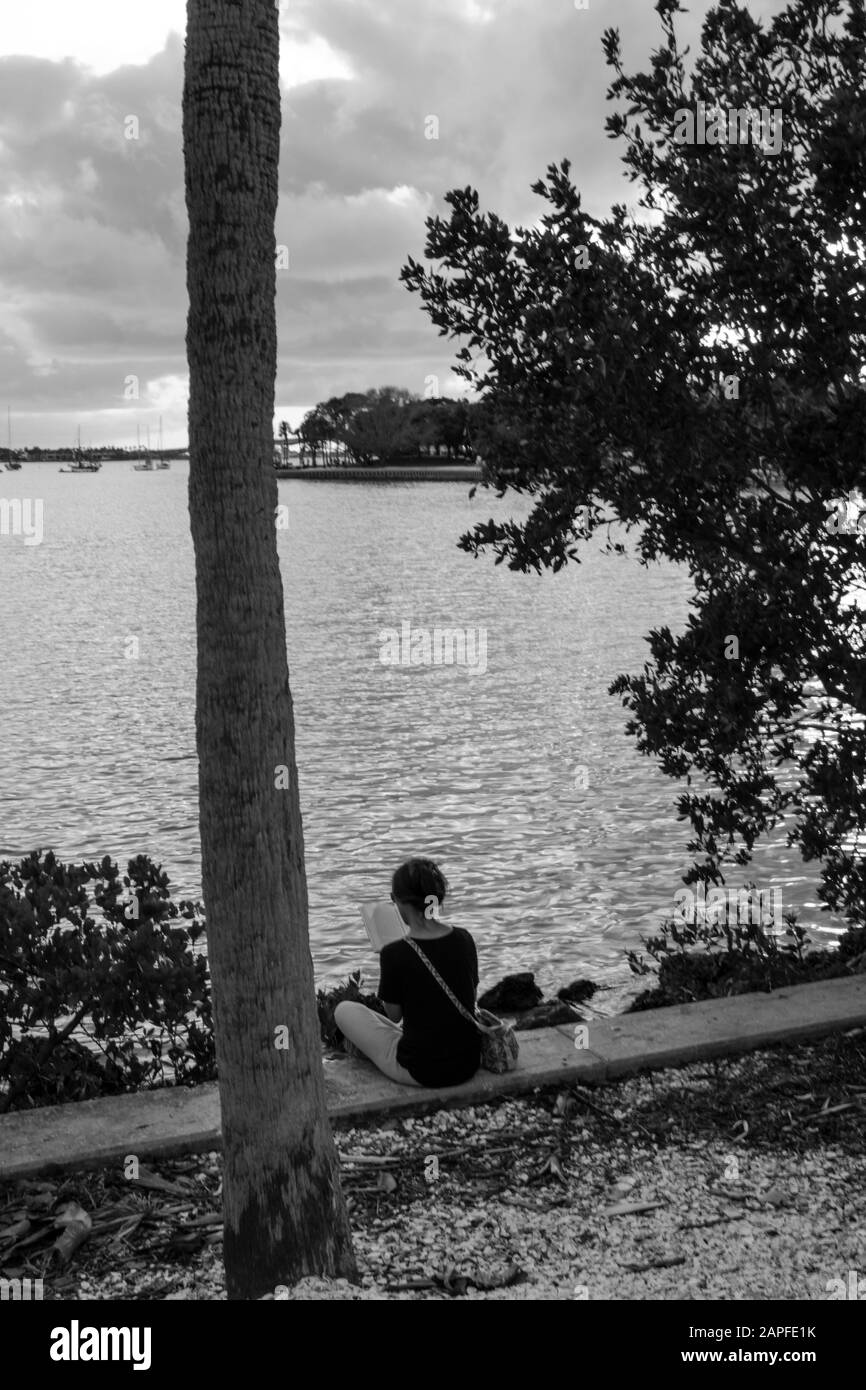 Sarasota florida Stockfoto