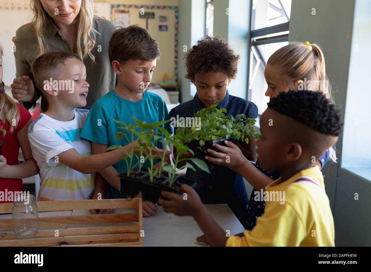 Lehrerin rund um eine Pflanzenkiste für einen Naturstudienunterricht in einem Grundschulunterricht Stockfoto