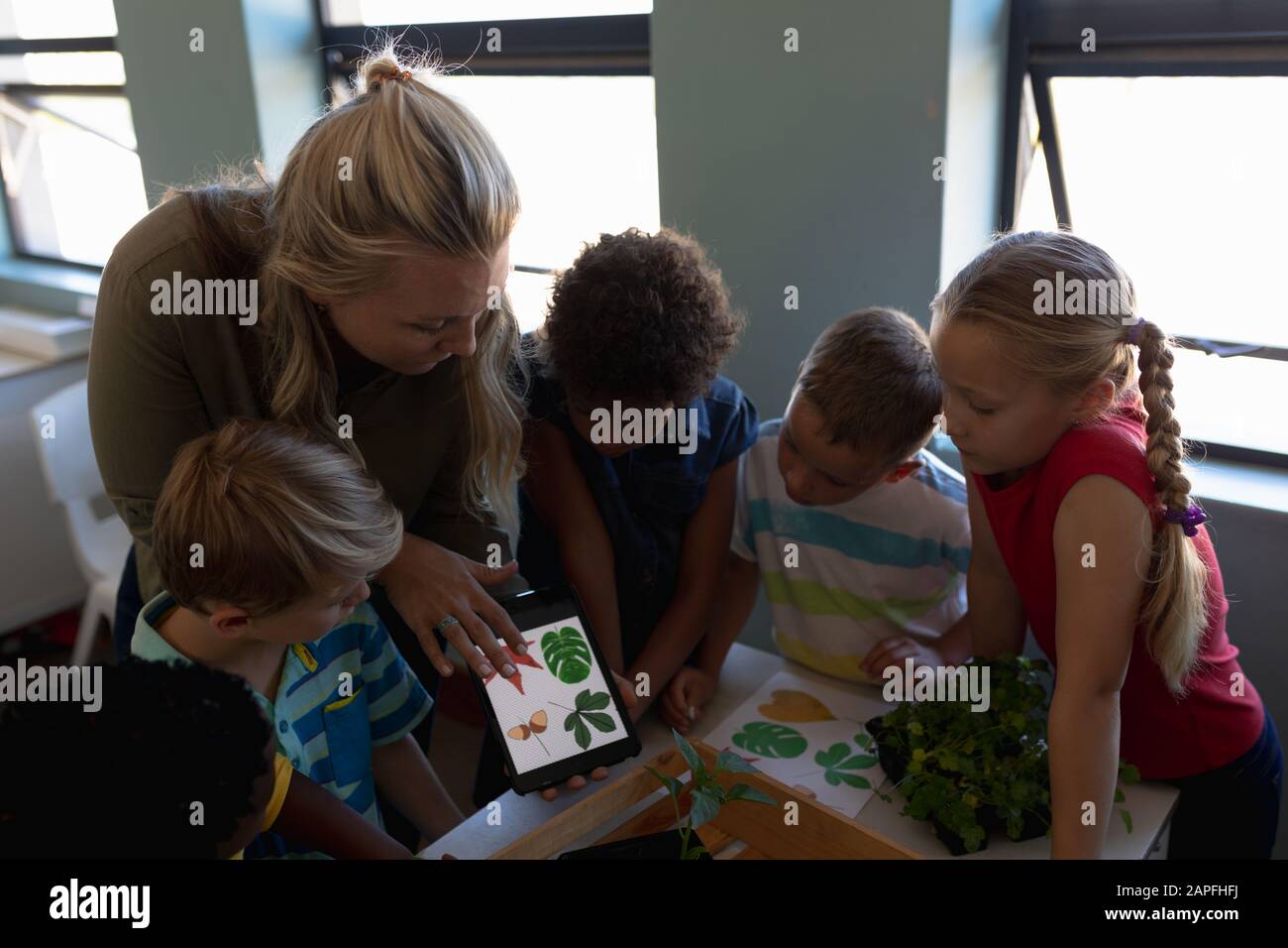 Lehrerin, die Bilder von Blättern auf einem Tabletcomputer betrachtet, um eine Naturstudienstunde in einem el zu erhalten Stockfoto