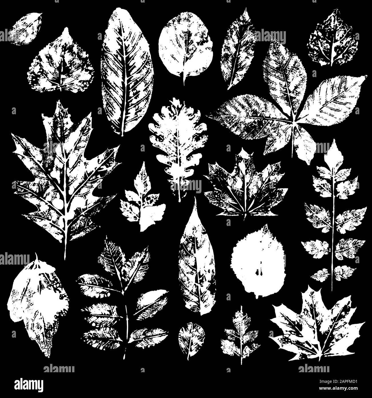 Blättern Abdrücke. Vector Illustration Stock Vektor