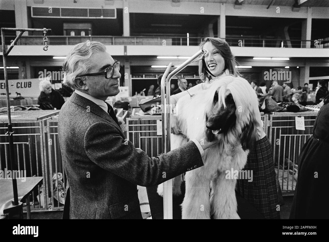 Bürgermeister Polak eröffnet die Rassehundausstellung in der RAI; Bürgermeister mit afghanischem Windhunddatum: 24. November 1979 Ort: Amsterdam, Noord-Holland Schlüsselwörter: Bürgermeister, Hunde, Ausstellungen persönlicher Name: Polak, Wim Institutionenname: RAI Stockfoto