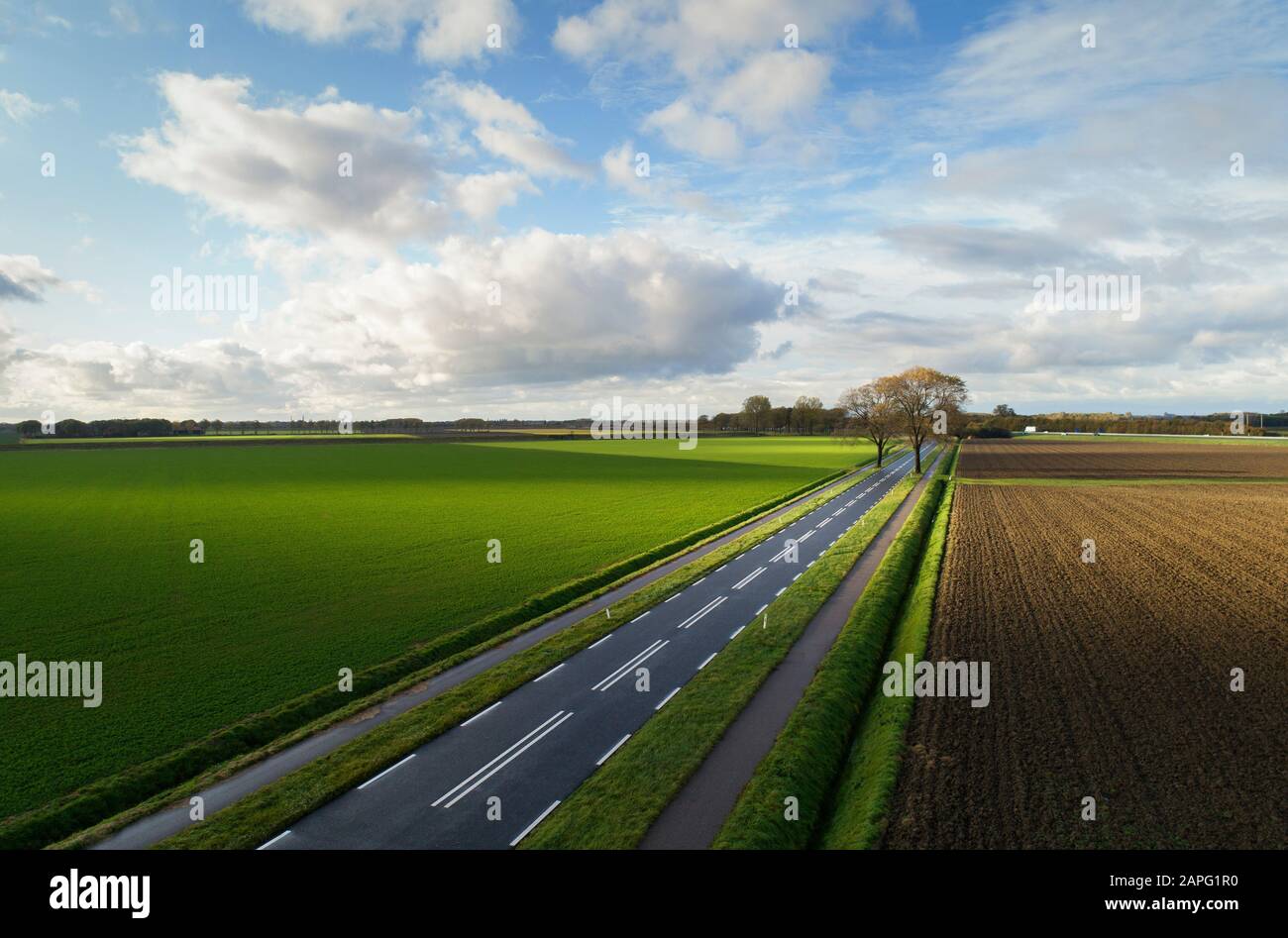 Landstraße, die im Herbst durch die landwirtschaftlichen Felder führt, Lewedorp, Zeeland, Niederlande Stockfoto