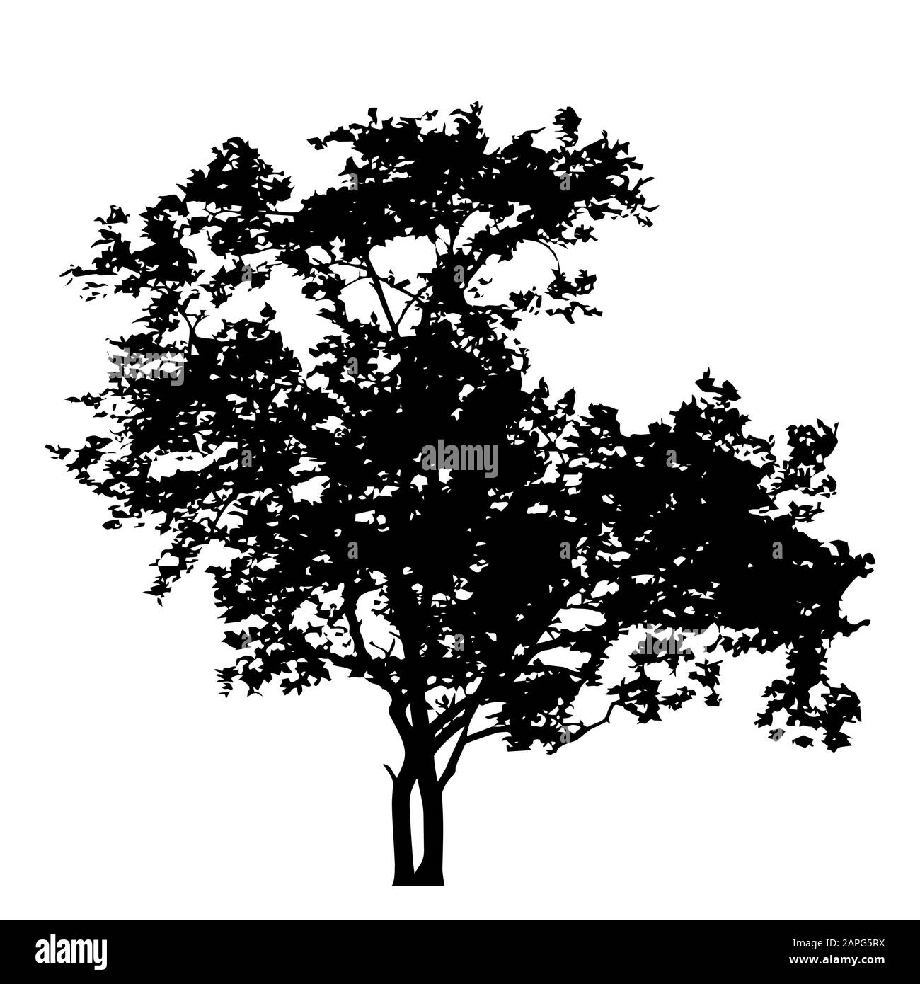 Baum mit Lamellen Silhouette isoliert auf weißem Hintergrundvektor Stock Vektor
