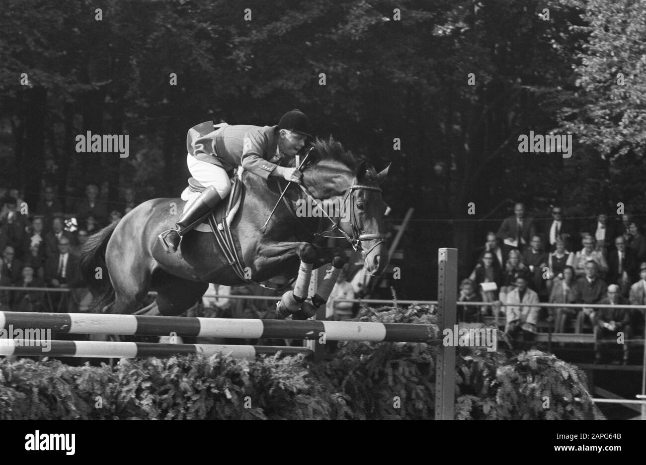 CHIO in Rotterdam: NR. 2,3 H. Schmidt (Dld) i.V. NR. 4 Frau Backhouse u.a. Datum: 5. september 1969 Ort: Rotterdam, Zuid-Holland Personenname: Frau Backhouse, Schmidt H. Institutsname: CHIO Stockfoto