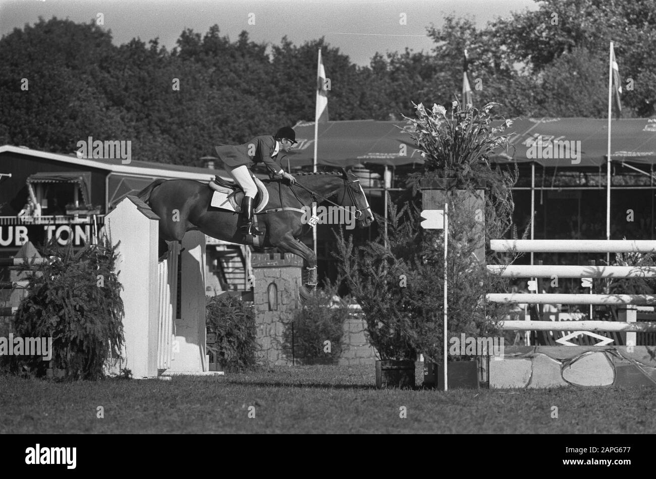 CHIO in Rotterdam, großer Preis von Rotterdam, V. Orlandi in Aktion mit Fulmer Feather Duster Datum: 26. August 1973 Ort: Rotterdam, Zuid-Holland Schlagwörter: Wettbewerbe, Pferde, Fahrer persönlicher Name: V. Orlandi Institutionenname: CHIO Stockfoto
