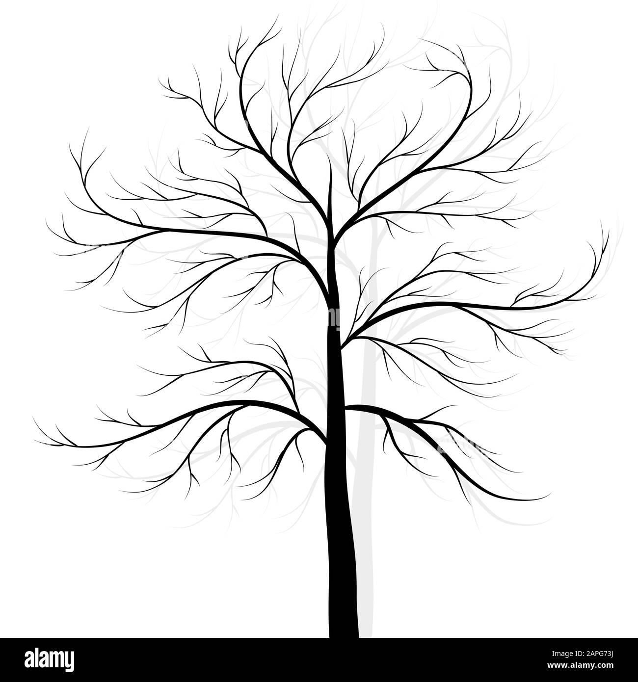 Baum Silhouette auf weißem Hintergrund Vektor Stock-Vektorgrafik - Alamy