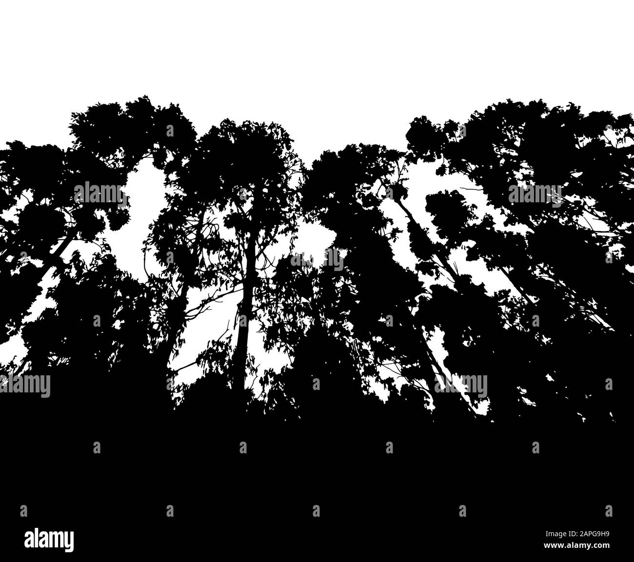 Wald-Silhouette isoliert auf weißem Hintergrundvektor Stock Vektor