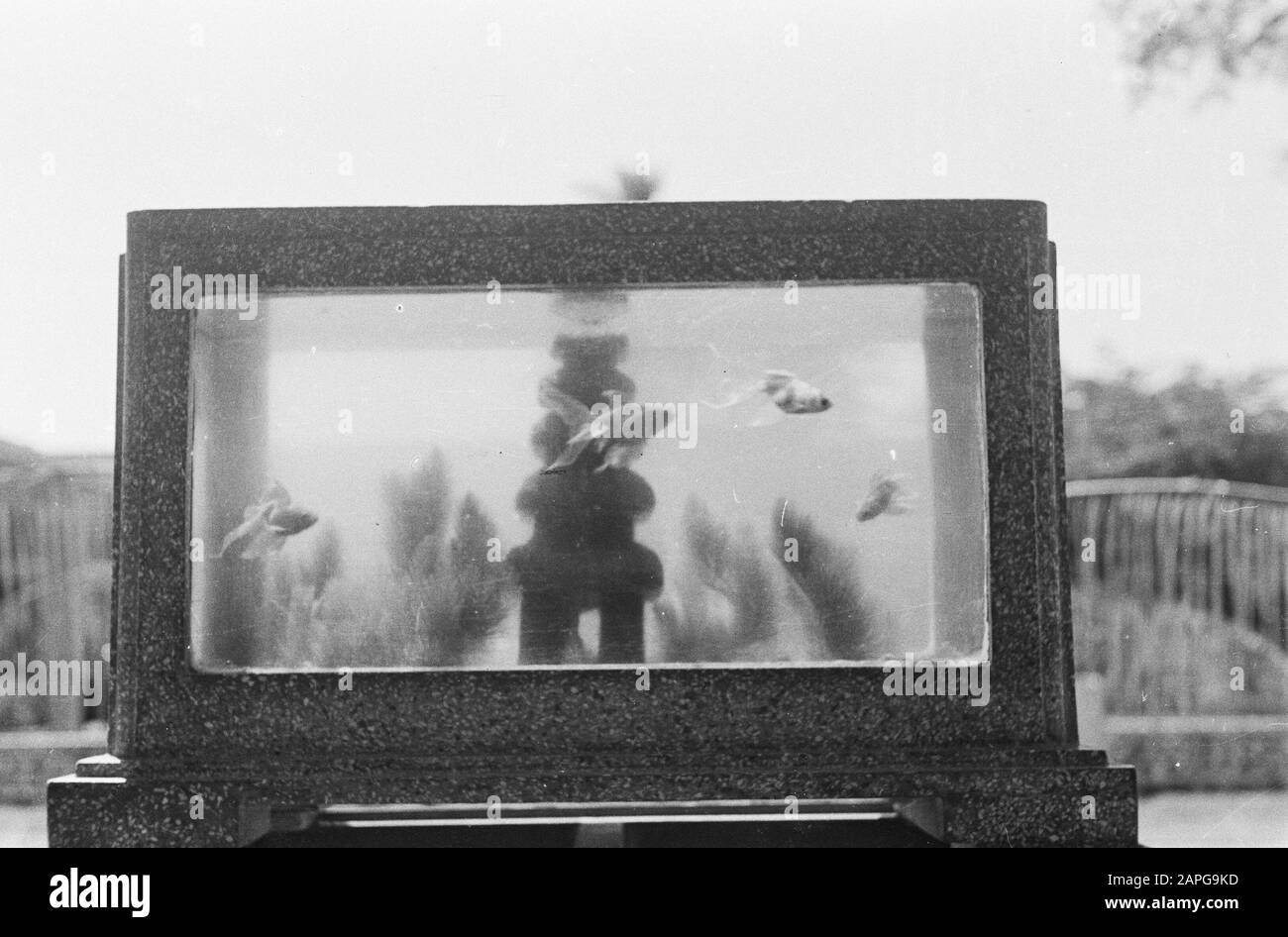 Bali Beschreibung: Collection Photo Collection Service for Army Contacts Indonesia, Photon Number 1632-11-3 Datum: April 1948 Ort: Bali, Indonesien, Niederländisch-Ostindien Stockfoto