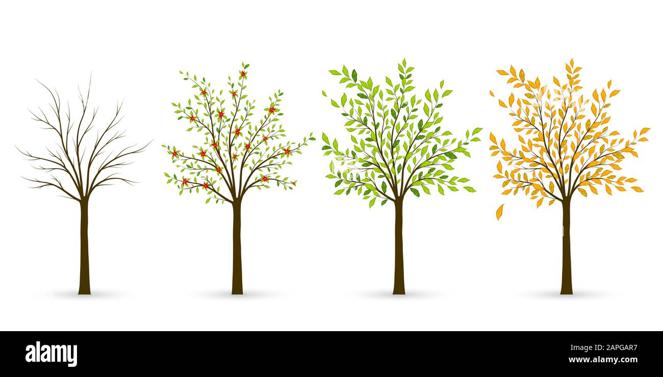 Baum in vier Jahreszeiten - Winter, Frühling, Sommer, Herbst. Vektorgrafiken Stock Vektor