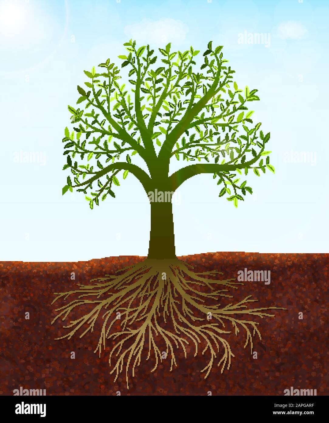 Naturhintergrund mit grünem Baum mit Blättern und Wurzelvektor Stock Vektor
