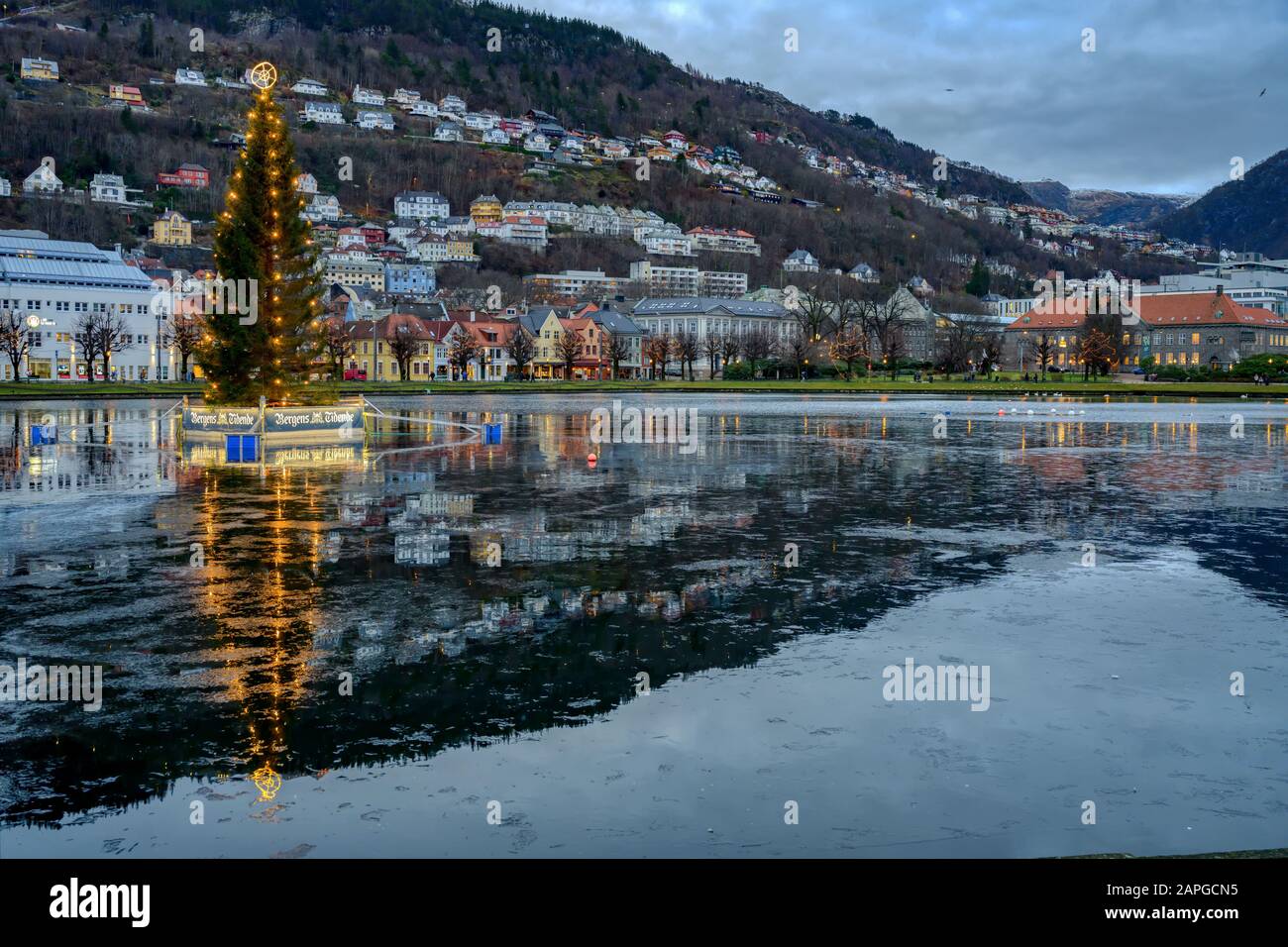 Weihnachtsbaum auf dem gefrorenen See im Zentrum von Bergen, Norwegen Stockfoto