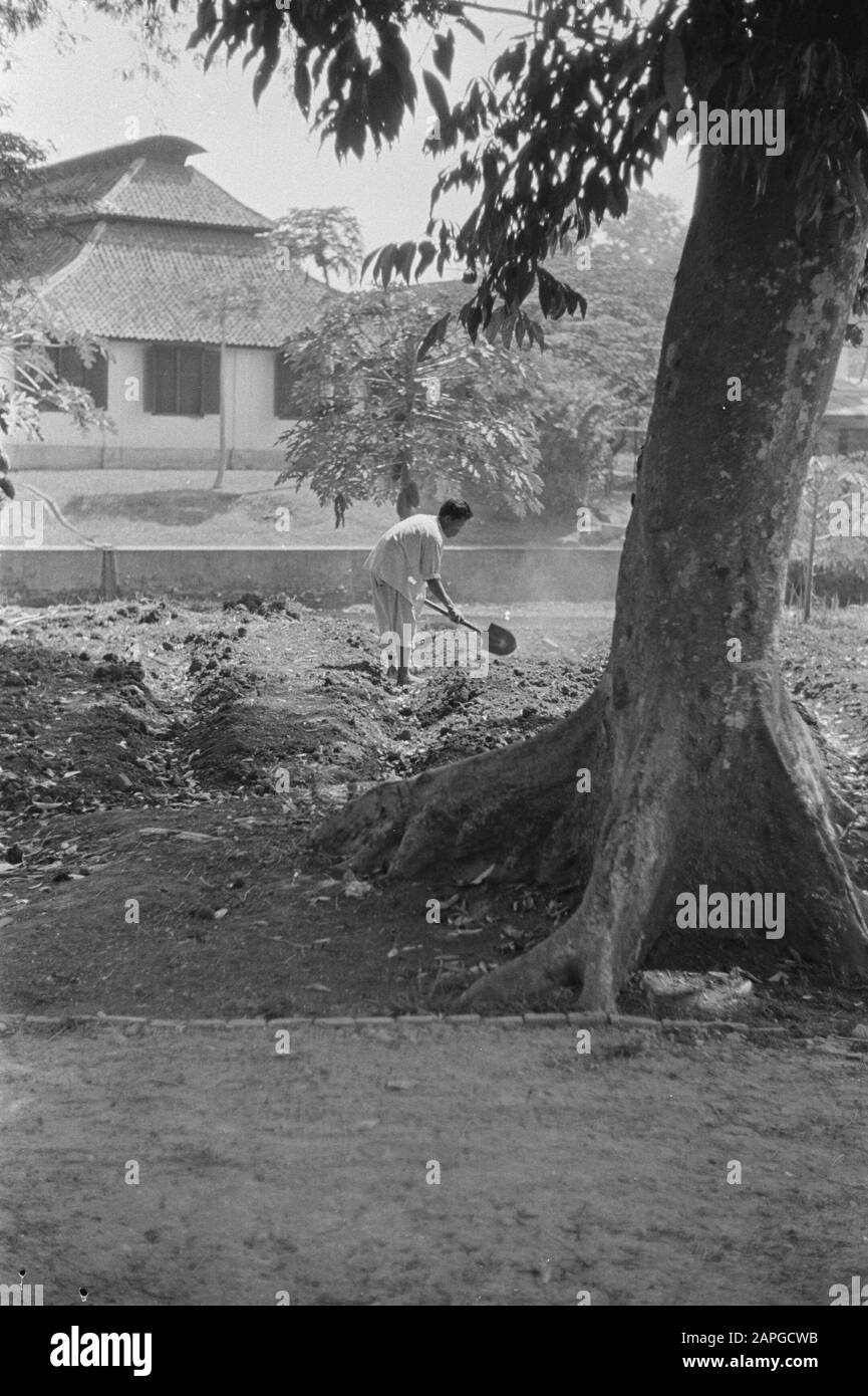 Reportage über "Die Insel" Beschreibung: Sammlung Photo Collection Service für Armeekontakte Indonesien, Photonennummer 261-5-4 Datum: Juli 1947 Ort: Indonesien, Niederländische Ostindien Stockfoto
