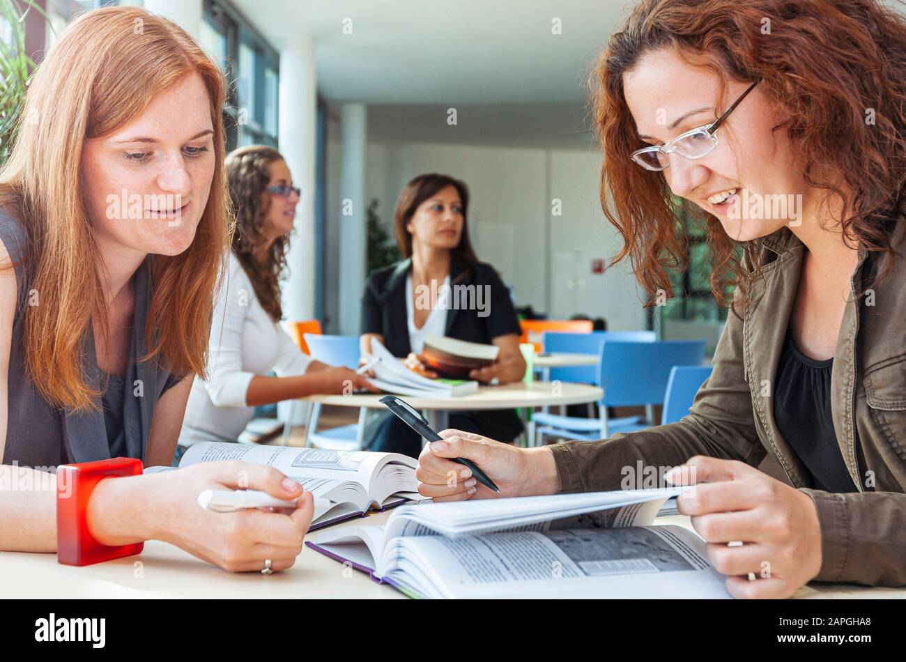 Studentinnen lernen in einem Team an einer suny-Universität Stockfoto