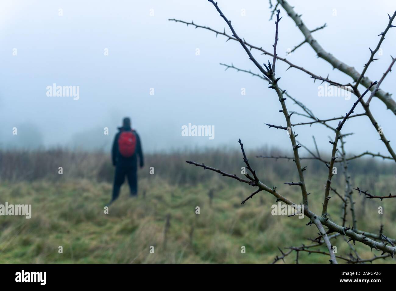 Ein Wanderer mit rotem Rucksack, der in der Ferne im Fokus steht. Auf einem Fuß, Wintertag auf dem Land Stockfoto