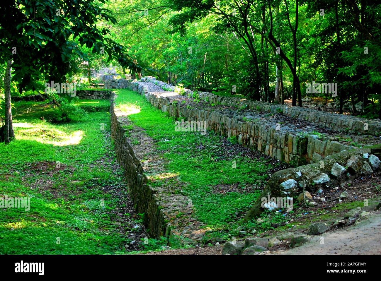 Cobá, Mexiko Stockfoto