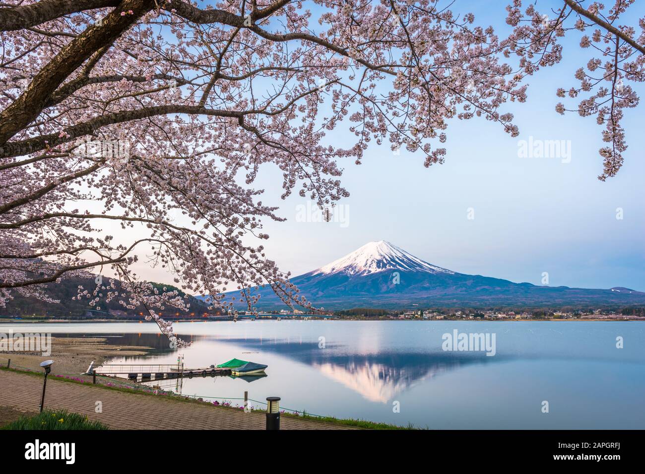 Mt. Fuji, Japan auf Lake Kawaguchi im Frühling Saison. Stockfoto