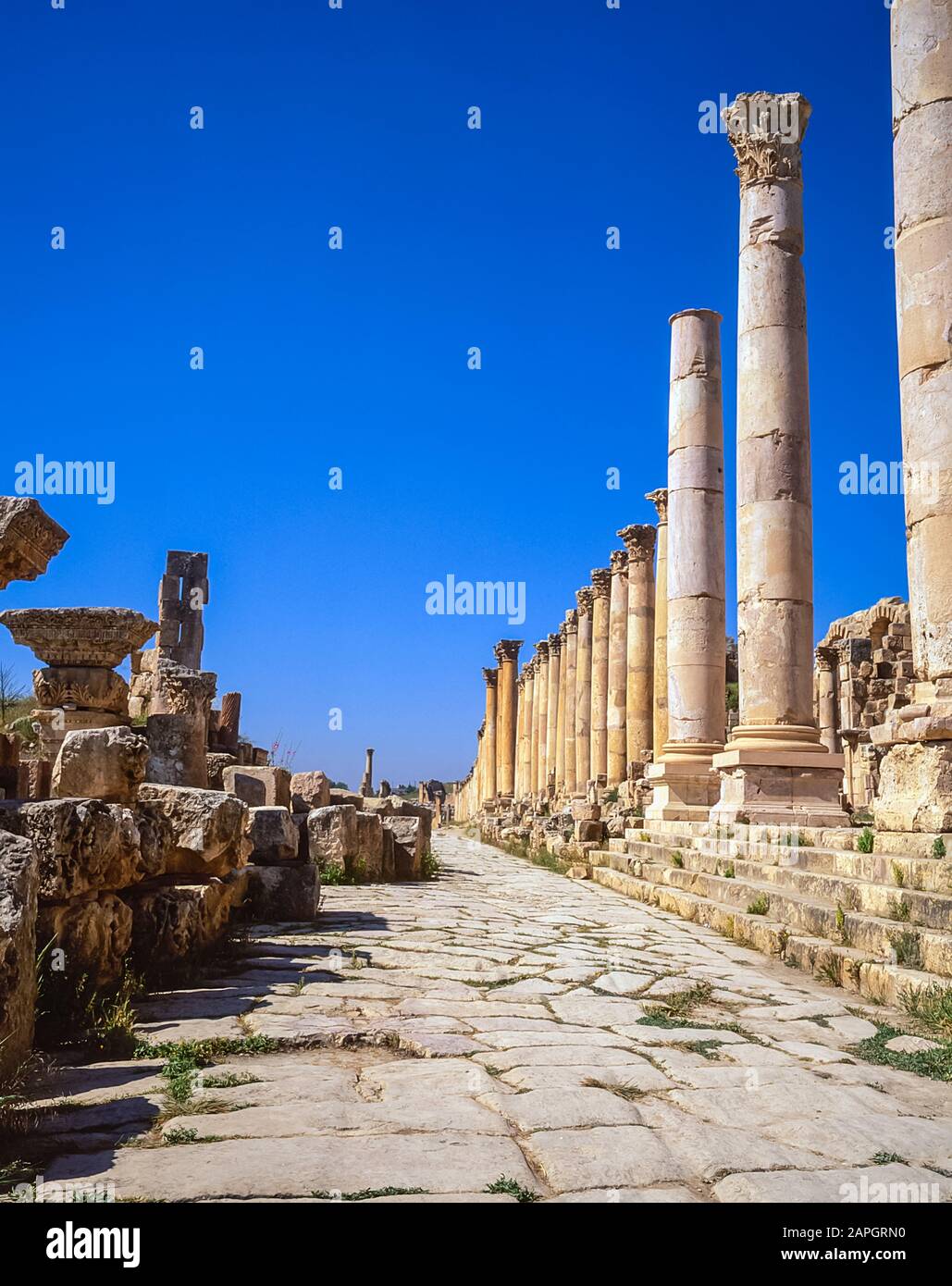 Jordanien. Kolonnaden an der einst Hauptstraße der alten römischen Stadt Jerash unweit der jordanischen Hauptstadt Amman im Nahen Osten Stockfoto