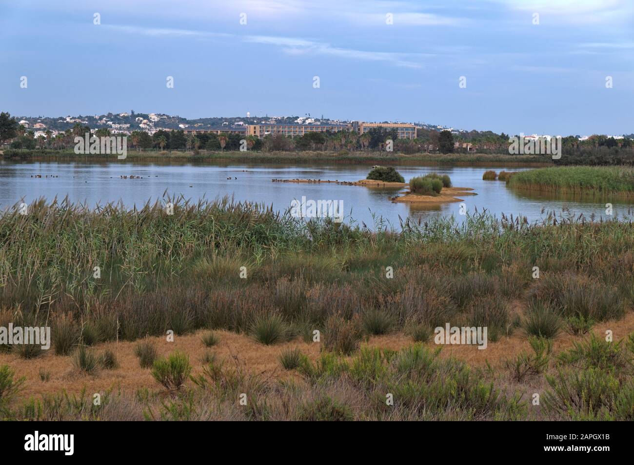 Salgados Naturreservat am Nachmittag an der Algarve, Portugal Stockfoto