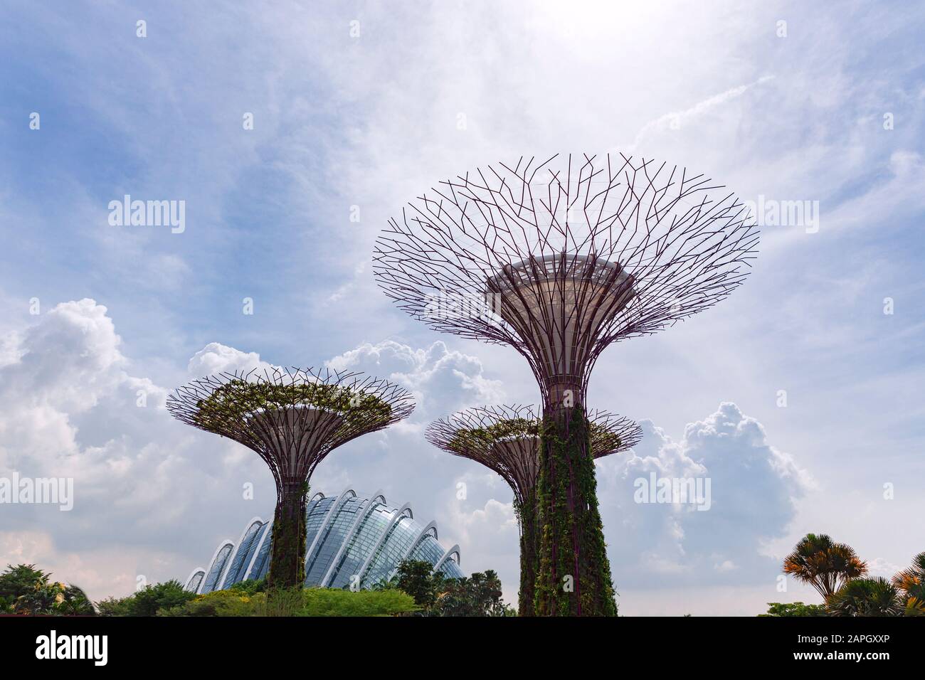 Gardens by the bay , singapur Fotos und Bildmaterial in hoher