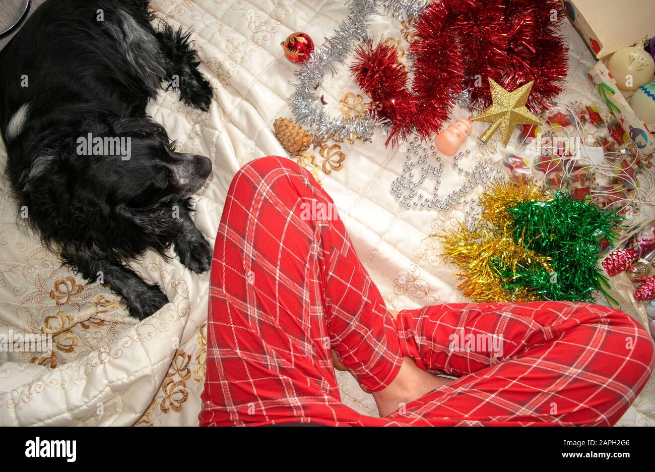 Frauenbeine in rotem Weihnachts-Schlafanzug mit vielen dekorativen Dingen: Stern, Spielzeug, fritschig, Perlen und schwarzer Hund. Mädchen packt Neujahr-Dekorationen mit Stockfoto