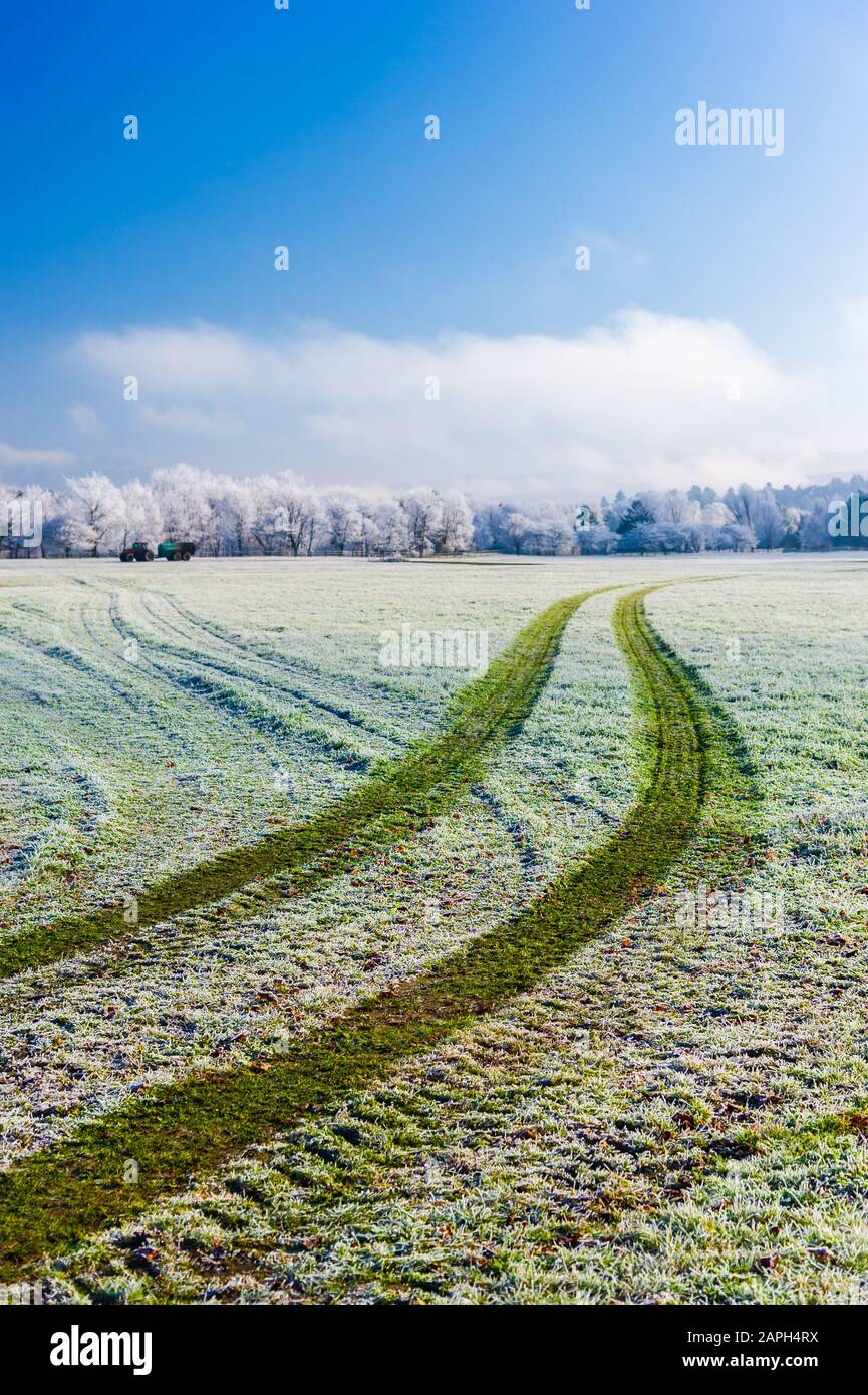 Traktorreifen auf Frost bedecktem grünem Gras an einem frostigen faull-morgen in Stowe Vermont USA Stockfoto
