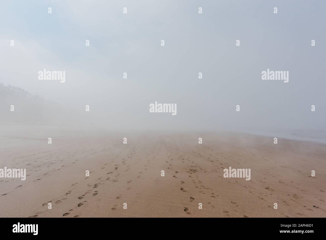 Meeresstrand in dichtem Nebel mit Fußabdrücken auf Sand Stockfoto