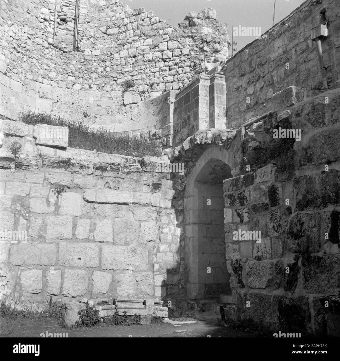 Naher Osten 1950-1955: Jerusalem Beschreibung: Die Bäder 'Piscina Probatica' im Untergeschoss der St. Anna Kirche auch Bethseda genannt. Auch bekannt als die Kirche, die an dem Ort errichtet wurde, an dem Maria geboren wurde Anmerkung: Zum Zeitpunkt der Aufnahme lag Jerusalem in Jordanien Datum: 1950 Ort: Palästina, Jerusalem, Jordanien Schlüsselwörter: Bäder, Kirchen Stockfoto