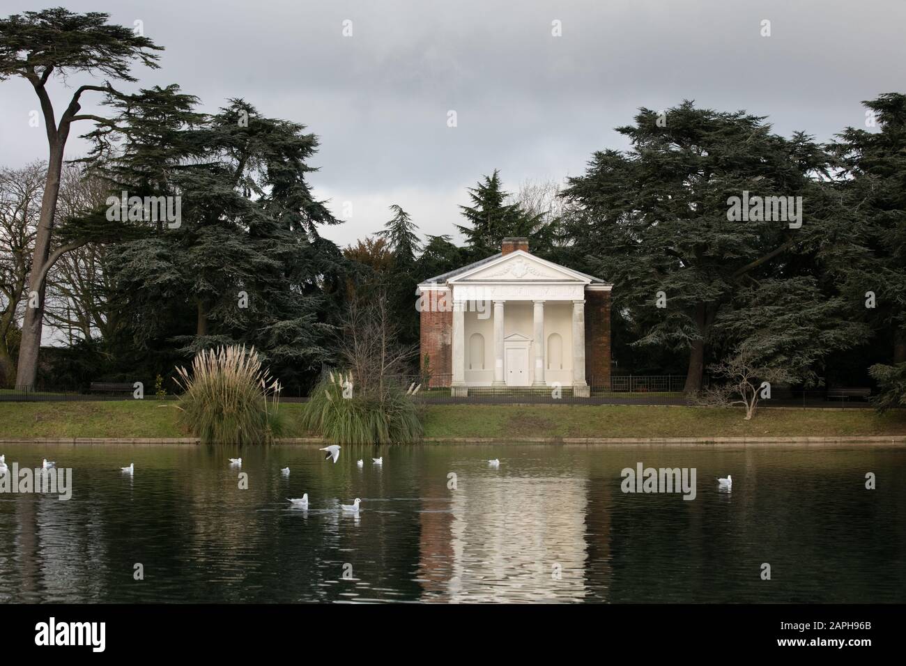 Birds in Gunnersbury Park, West London. Stockfoto