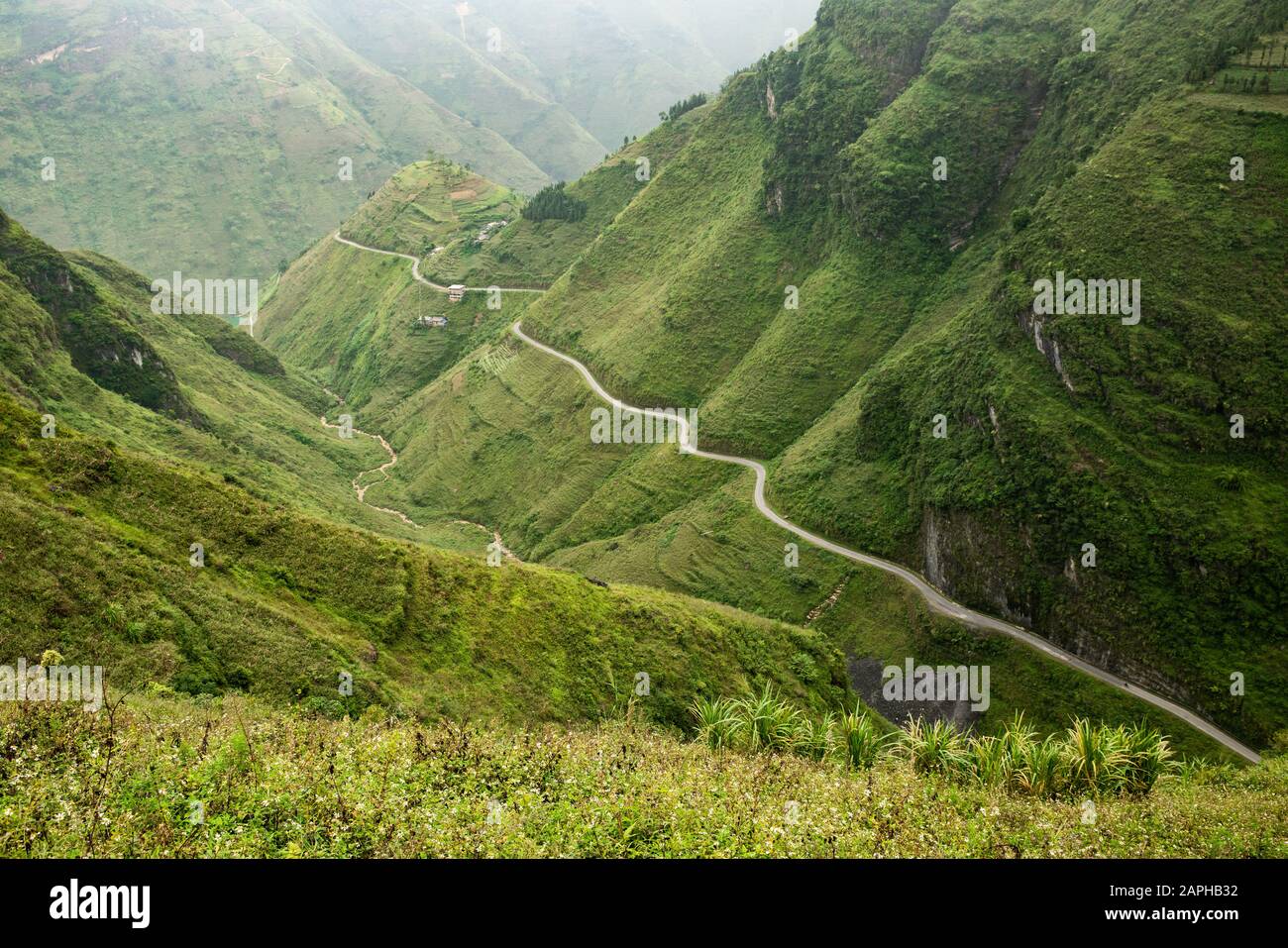 Fahren Sie auf dem Bergplateau von Dong Van, ha Giang, Vietnam. Stockfoto
