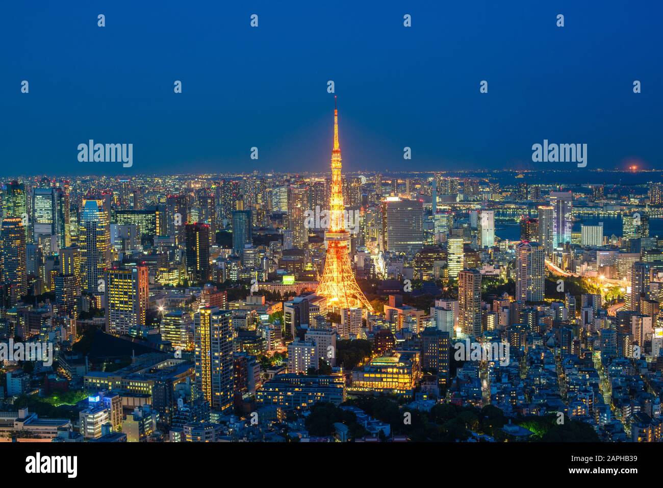 Tokyo Tower Nacht Zeit, großem Betrachtungswinkel, Japan. Stockfoto