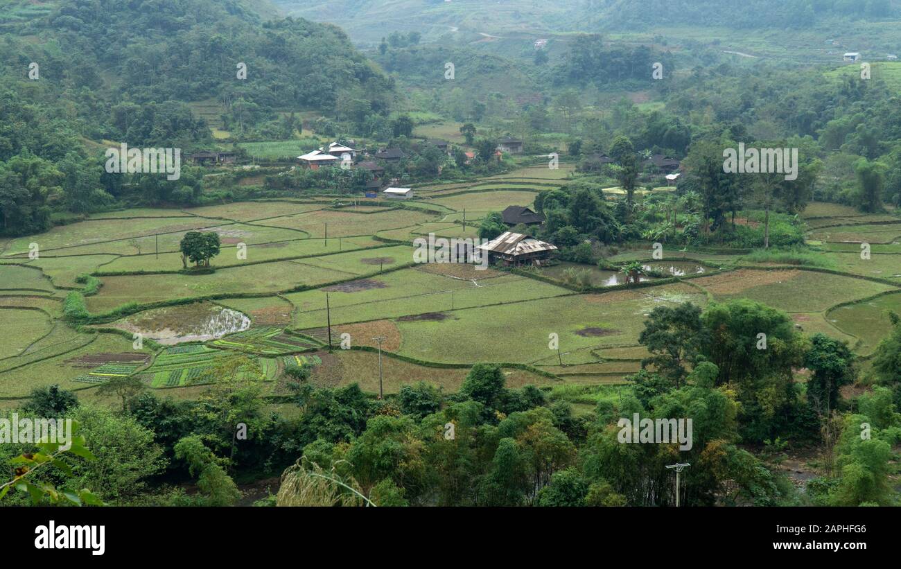 Nassreis-Paddy-Felder kleine Stadt in ha Giang, Vietnam entlang der beliebten Motorradschleife nahe der Grenze zu China. Stockfoto