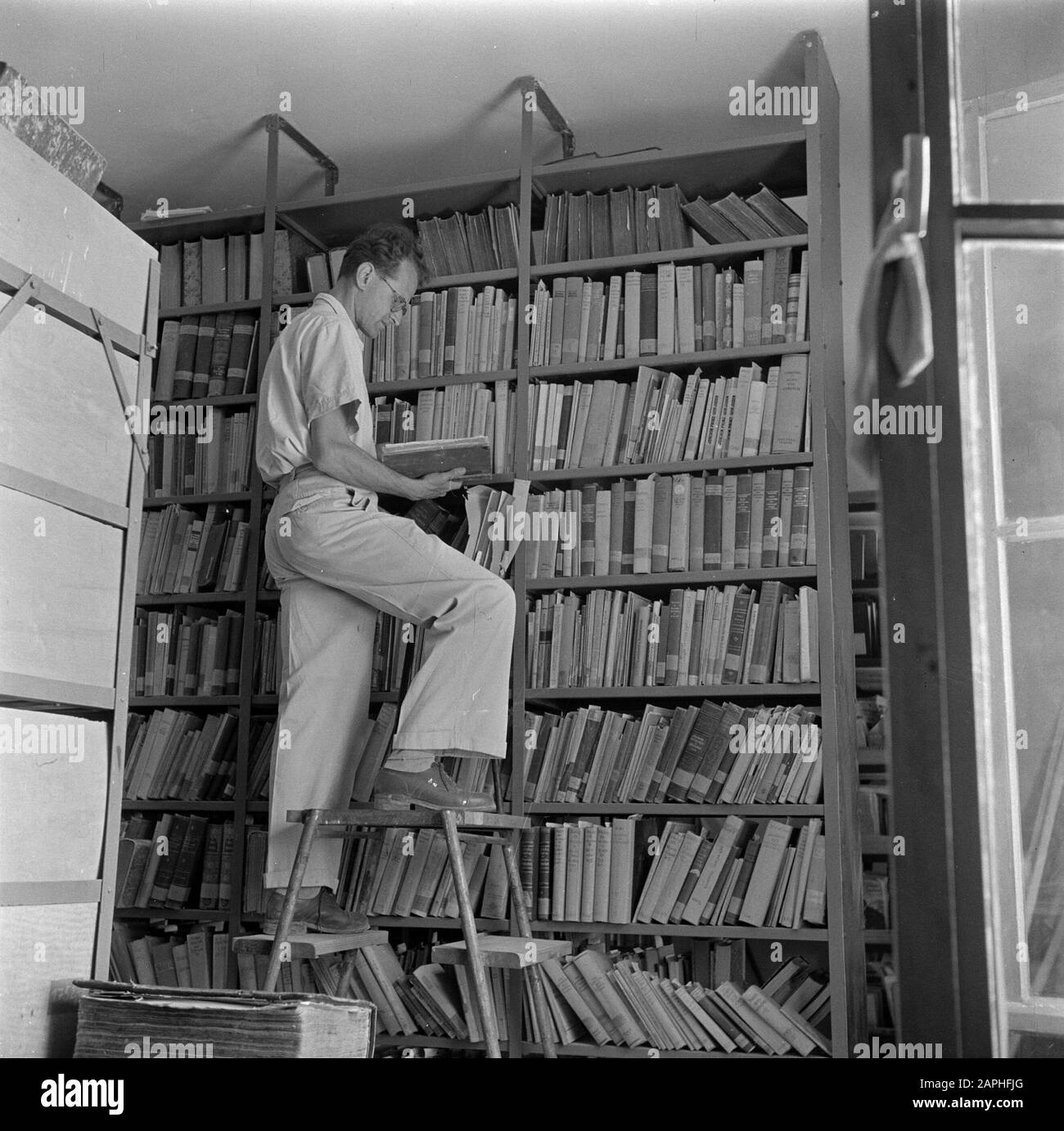 Israel 1948-1949: Kibbutz Kiwath Brenner Beschreibung: Der Maler Carlo Casellolognesi bei der Arbeit Anmerkung: Kibbutz Kiwath Brenner wird auch als Givat Brenner bezeichnet Datum: 1948 Ort: Israel, Rehovot Schlüsselwörter: Bibliothekare, Bibliotheken, Bücher, Kibbutz, Kunstmaler, Umschulung, Treppe Personenname: Casellognesi, Carlo Stockfoto