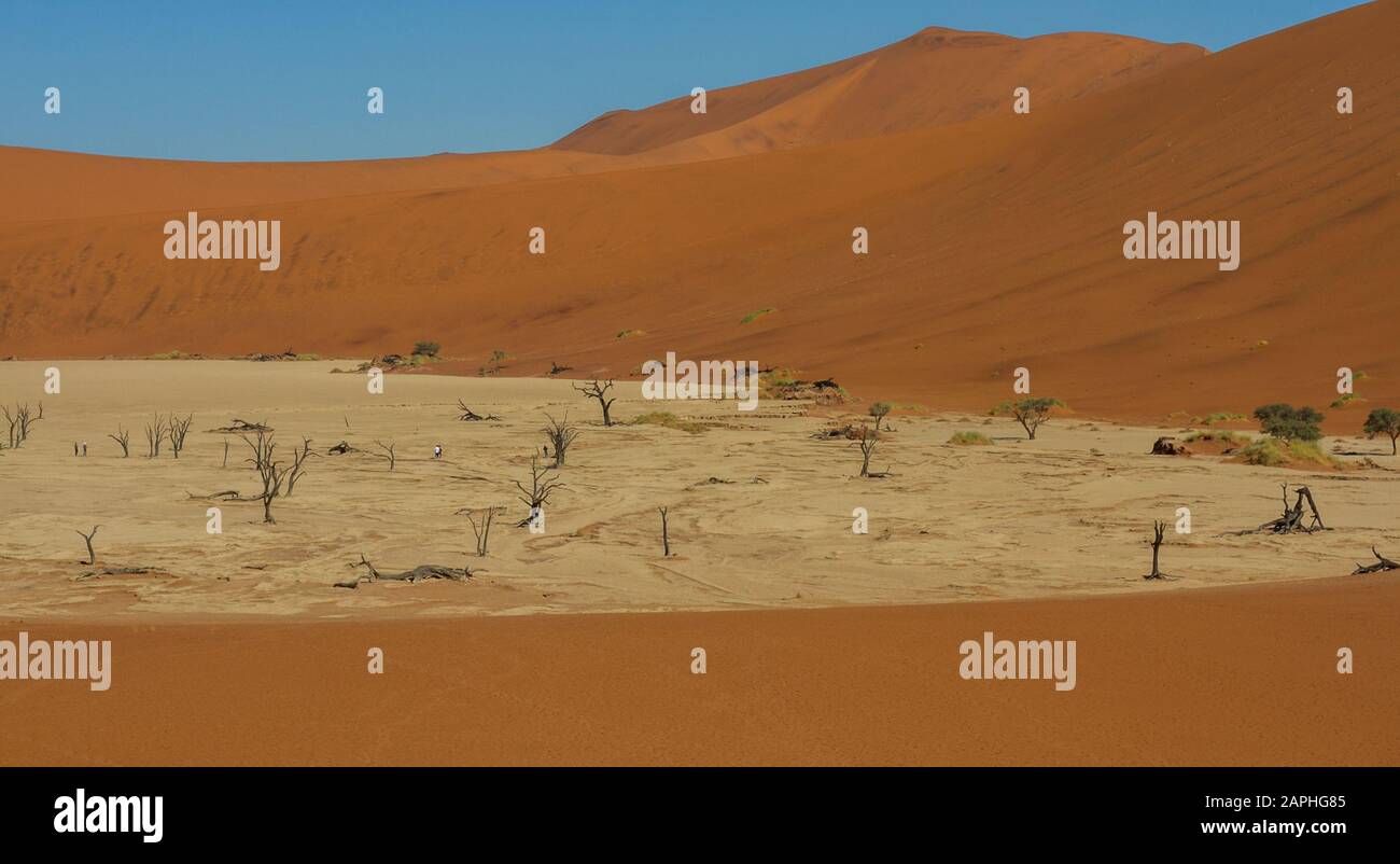 Landschaft der roten Sanddünen von Sossusvlei und der toten Bäume von Deadvlei aus einer Düne mit Fußabdrücken im Sand in Sossusvlei, Namibia Stockfoto