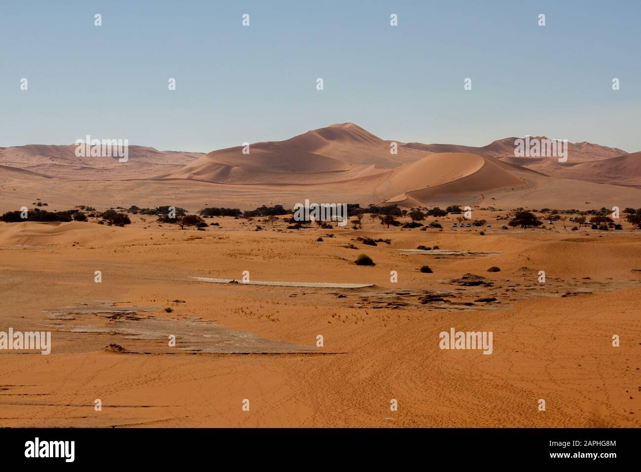 Landschaft der roten Sanddünen von Sossusvlei, Namibia Stockfoto