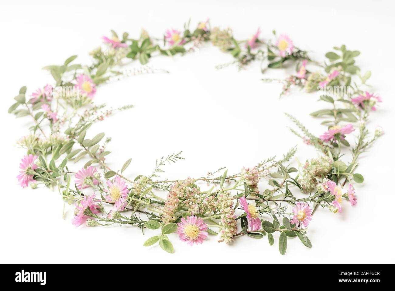 Schöne und zarte Kranz Rahmen mit rosa Blüten, Heide, Äste und Blätter auf weißem Hintergrund. Ansicht von oben. Kopieren Sie Platz. Stockfoto