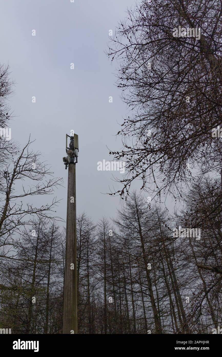 Ein Handy-Mast, der in Bäumen in der Nähe des Saddleworth Golf Club lauert. Stockfoto