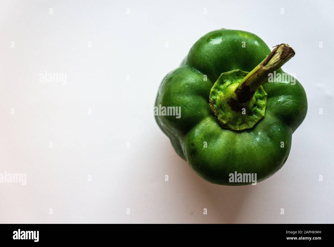 Außermitterne Makrofoto von oben im Studio aufgenommen. Stockfoto