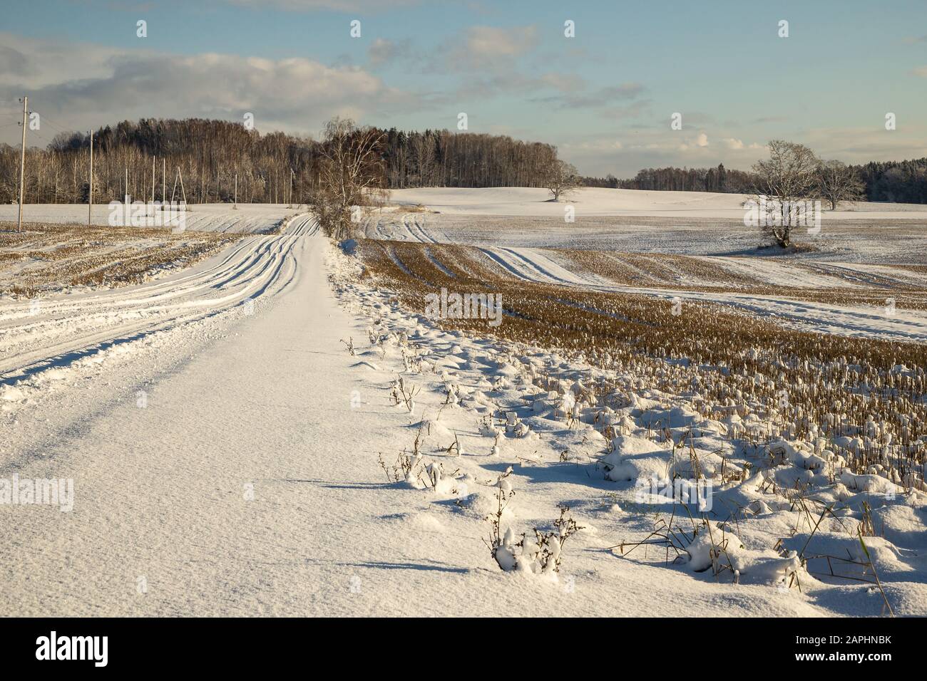 Verschneite Schotterstraße auf dem Land in Lettland Stockfoto