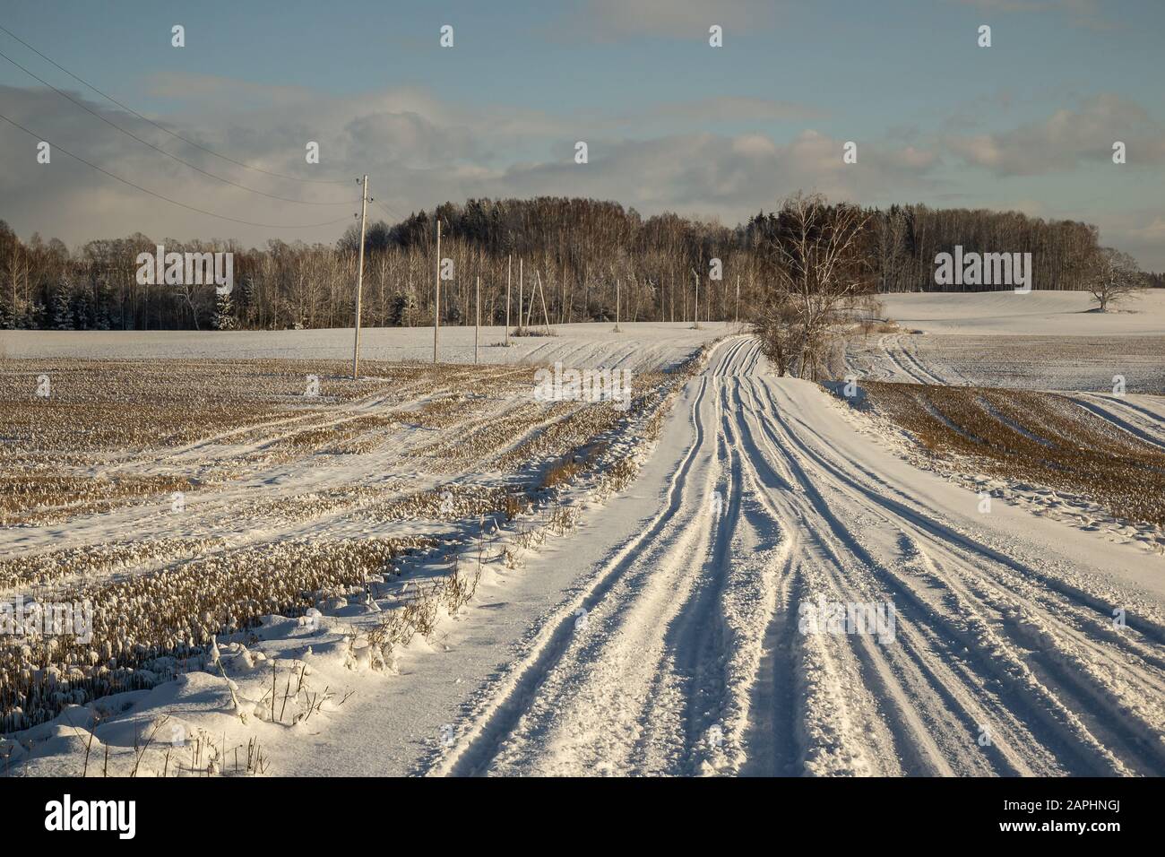 Verschneite Schotterstraße auf dem Land in Lettland Stockfoto