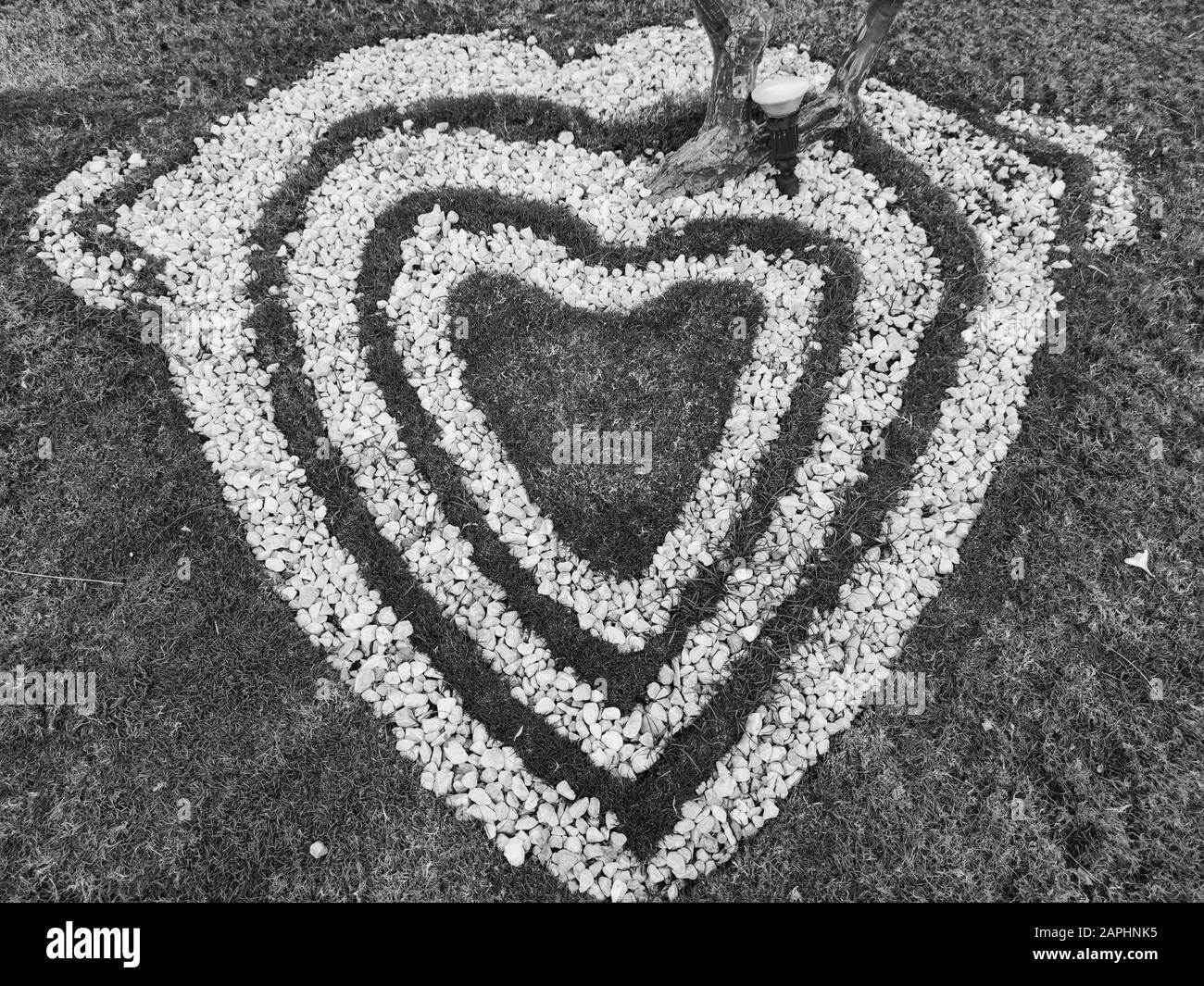 Draufsicht auf herzförmige weiße Steine auf dem Gras für Landschaftsgestaltung. Hintergrund für Valentinstag oder romantischen Hintergrund für Hochzeit Postkarte oder Stockfoto