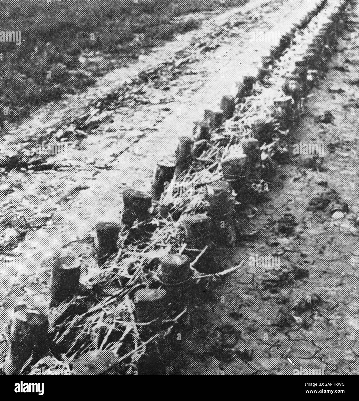 Checkers, rijzendam Datum: Undatierte Schlüsselwörter: Checkers persönlicher Name: Rijzendam Stockfoto