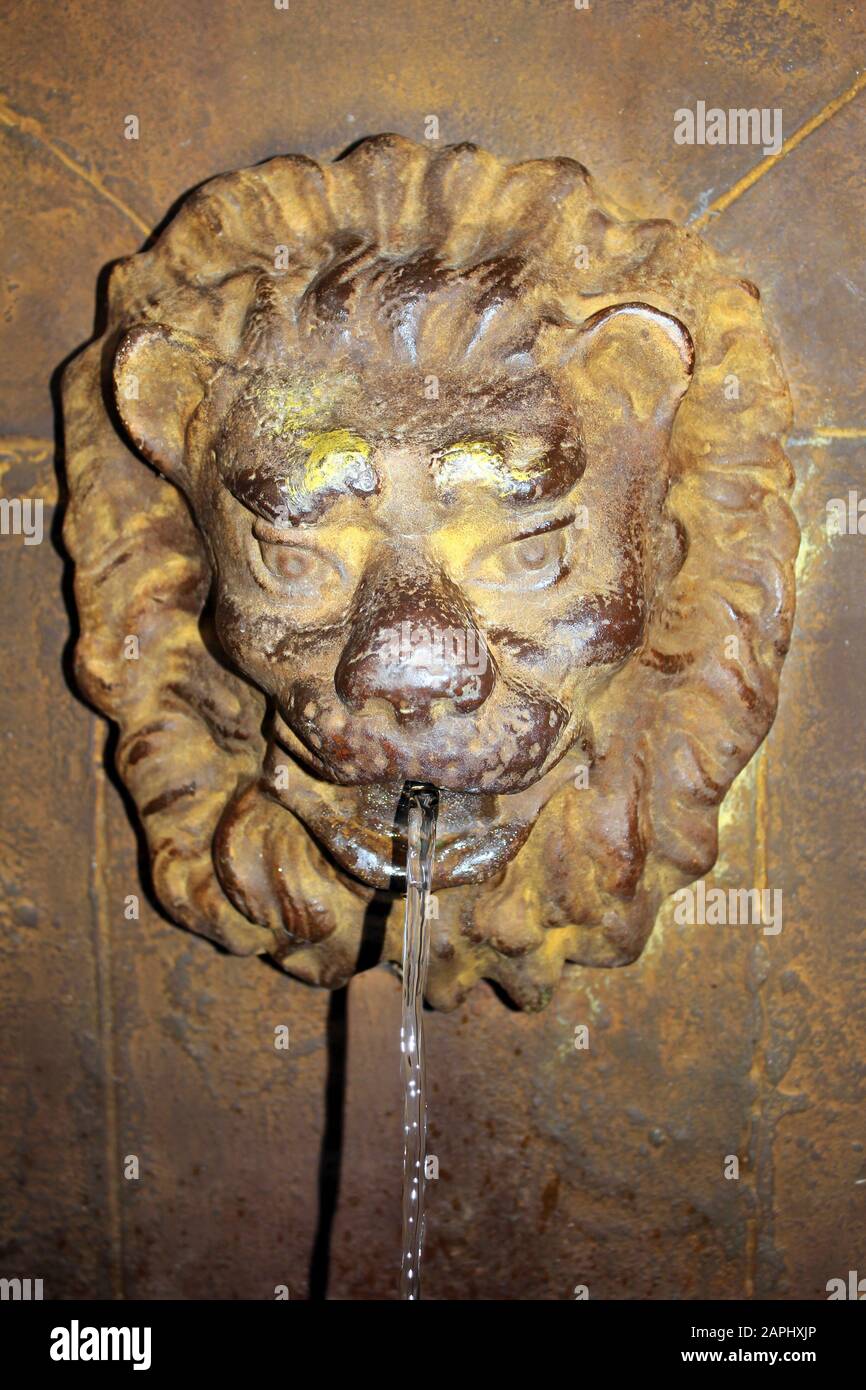 Löwen-Wasserauslauf Stockfoto