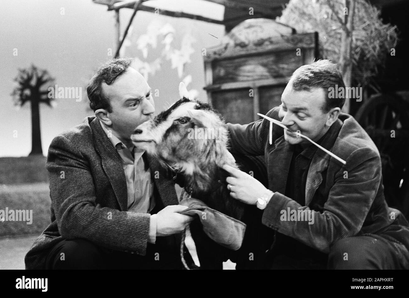 Die Rudi Carrellshow im Zeichen der Farm. The Mounties Datum: 5. April 1963 Stichwörter: Bauernhöfe persönlicher Name: Bambergen, Piet, Vooren, René von Institution Name: Mounties, The Stockfoto